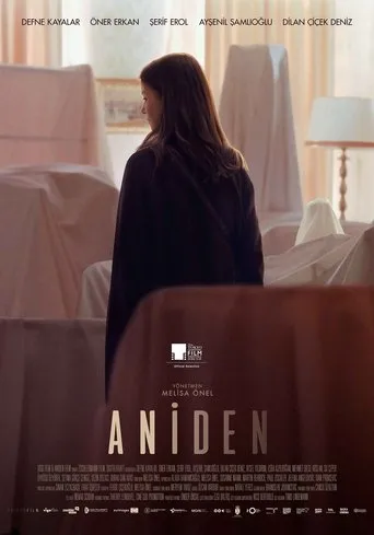 Póster de Aniden