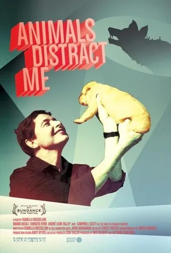 Póster de Animals Distract Me