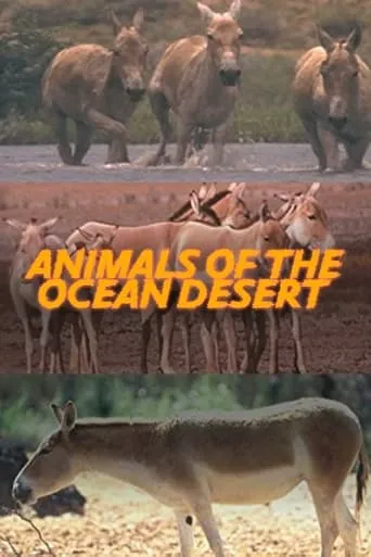 Póster de Animals of the Ocean Desert