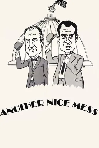 Póster de Another Nice Mess