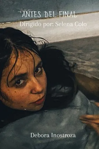 Póster de Antes del final