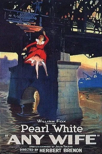 Póster de Any Wife