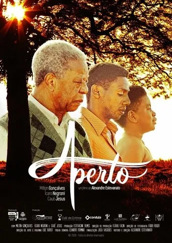 Póster de Aperto