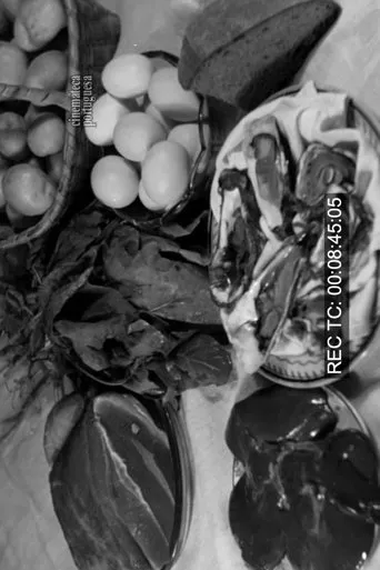 Póster de Aprenda a Comer! O Desperdício Alimentar