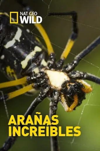 Póster de Arañas increíbles