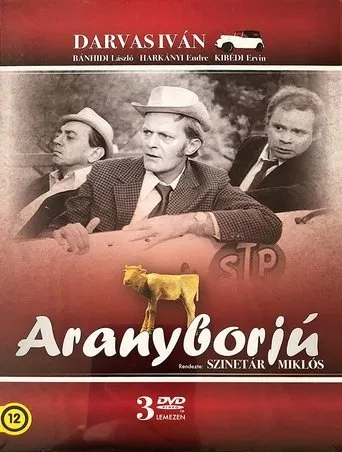 Póster de Aranyborjú