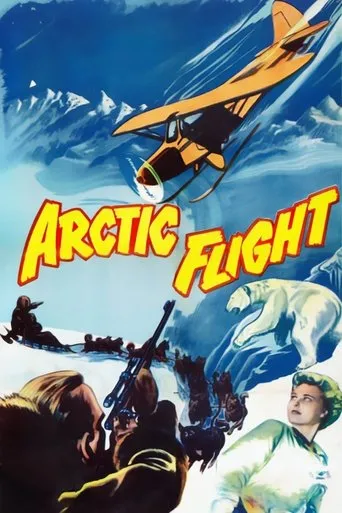 Póster de Arctic Flight