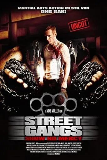 Póster de Arena of the Street Fighter