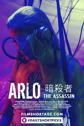 Póster de ARLO: THE ASSASSIN