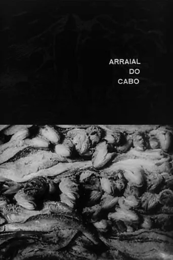 Póster de Arraial do Cabo