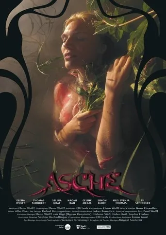 Póster de Asche