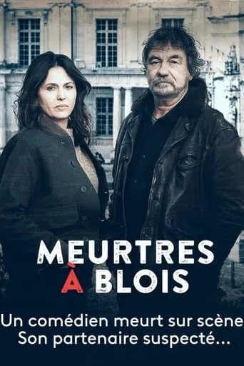 Póster de Asesinato en Blois