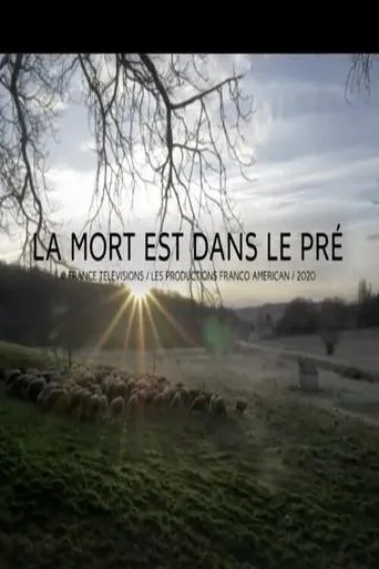 Póster de Asesinato en la Alta Provenza (2021) con Fred Testot como Etienne Barjac