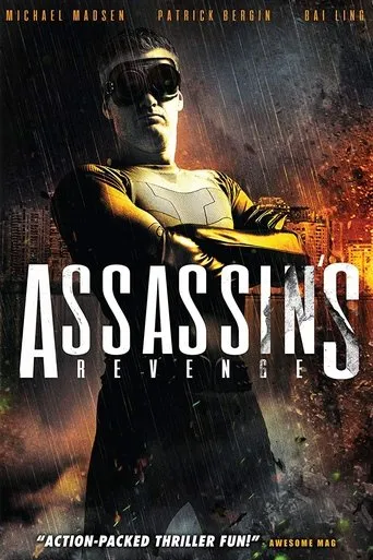Póster de Assassins Revenge