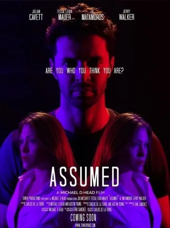 Póster de Assumed