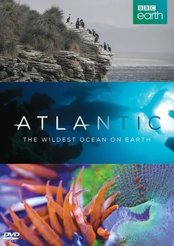 Póster de Atlántico