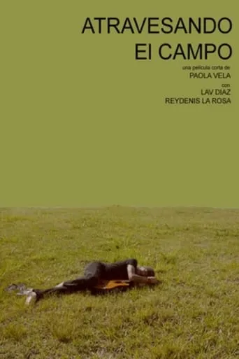 Póster de Atravesando el campo