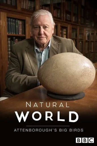 Póster de Attenborough's Big Birds