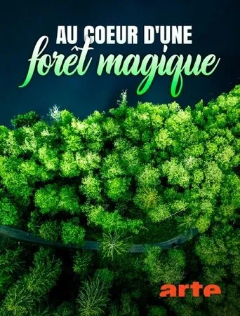 Póster de Au cœur d'une forêt magique