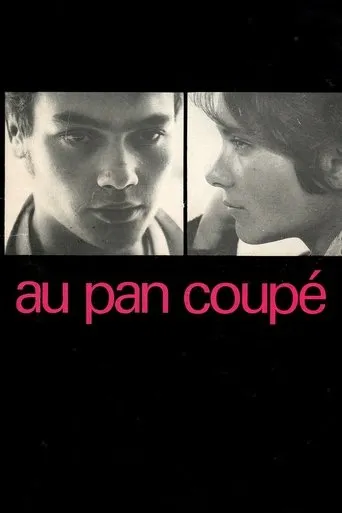 Póster de Au pan coupé