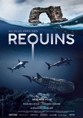 Póster de Au plus près des requins