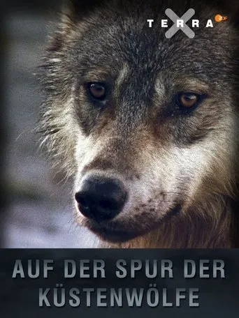 Póster de Auf der Spur der Küstenwölfe