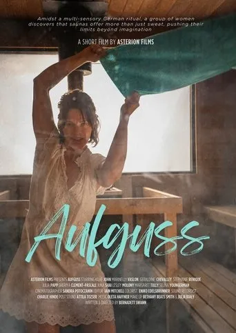 Póster de Aufguss