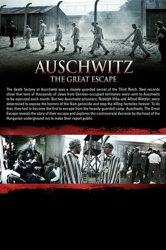 Póster de Auschwitz: The Great Escape