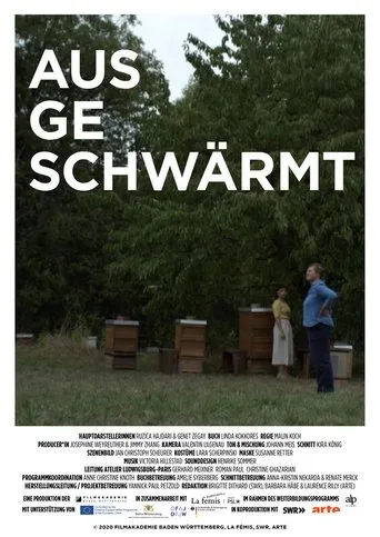 Póster de Ausgeschwärmt