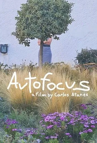 Póster de Autofocus