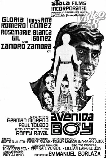 Póster de Avenida Boy