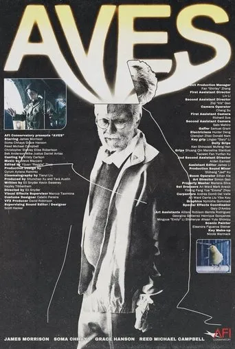 Póster de Aves