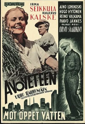 Póster de Avoveteen