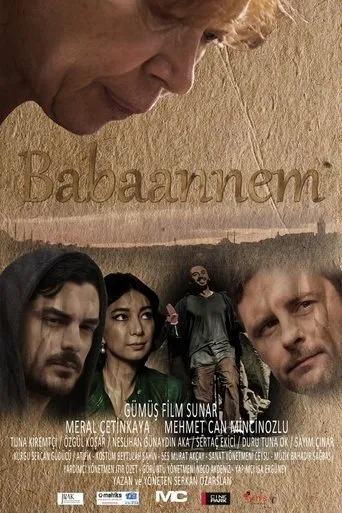 Póster de Babaannem