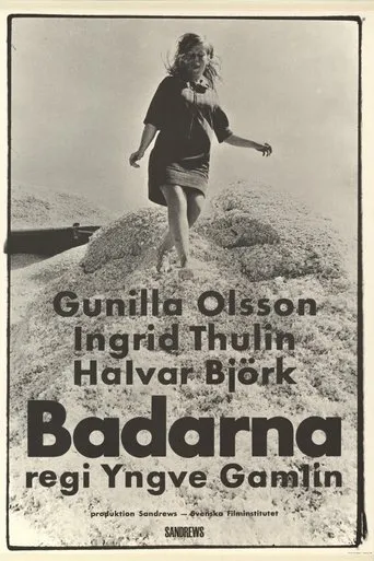 Póster de Badarna