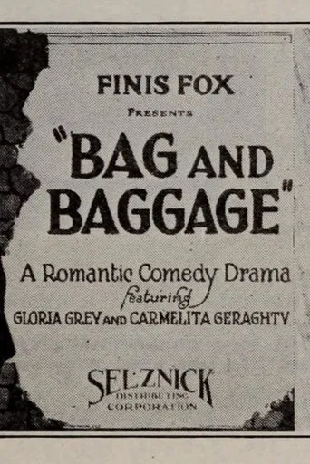 Póster de Bag and Baggage