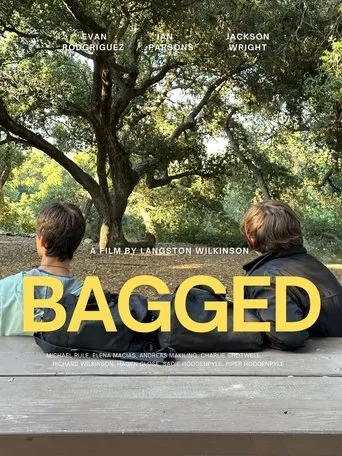 Póster de Bagged