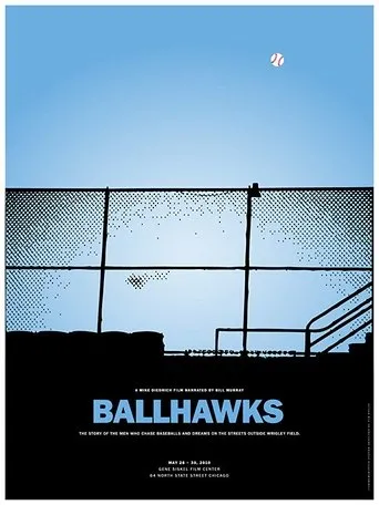 Póster de Ballhawks