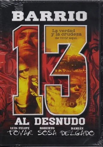 Póster de Barrio 13