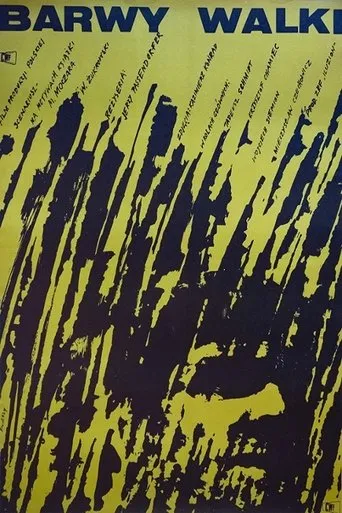 Póster de Barwy walki