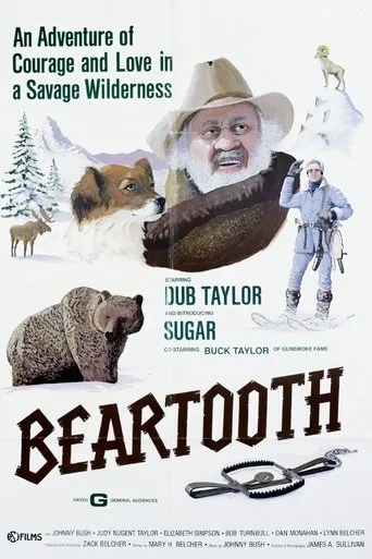 Póster de Beartooth