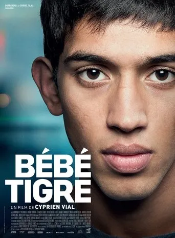 Póster de Bébé Tigre