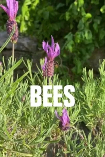 Póster de Bees