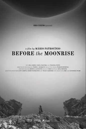 Póster de Before the Moonrise