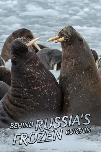 Póster de Behind Russia's Frozen Curtain