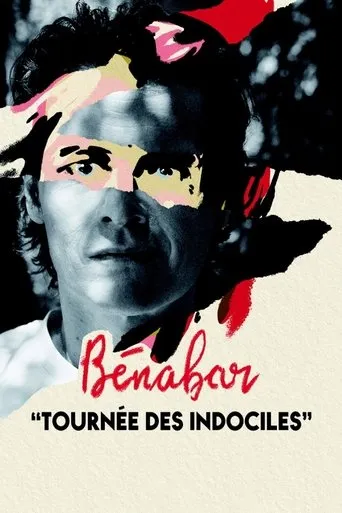 Póster de Bénabar - Tournée des indociles