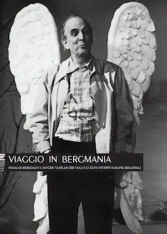 Póster de Bergmanya'ya Yolculuk