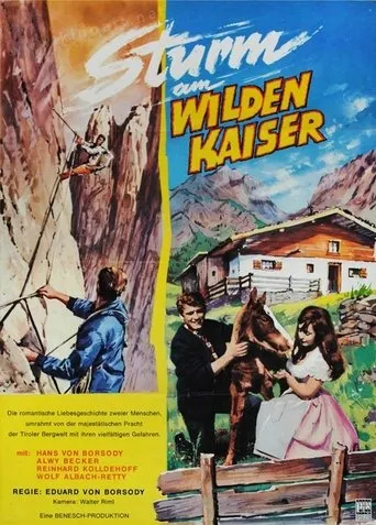 Póster de Bergwind
