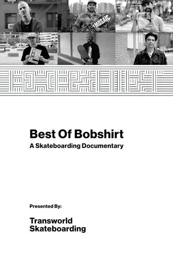 Póster de Best of Bobshirt: A Skateboarding Documentary