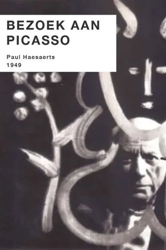 Póster de Bezoek aan Picasso